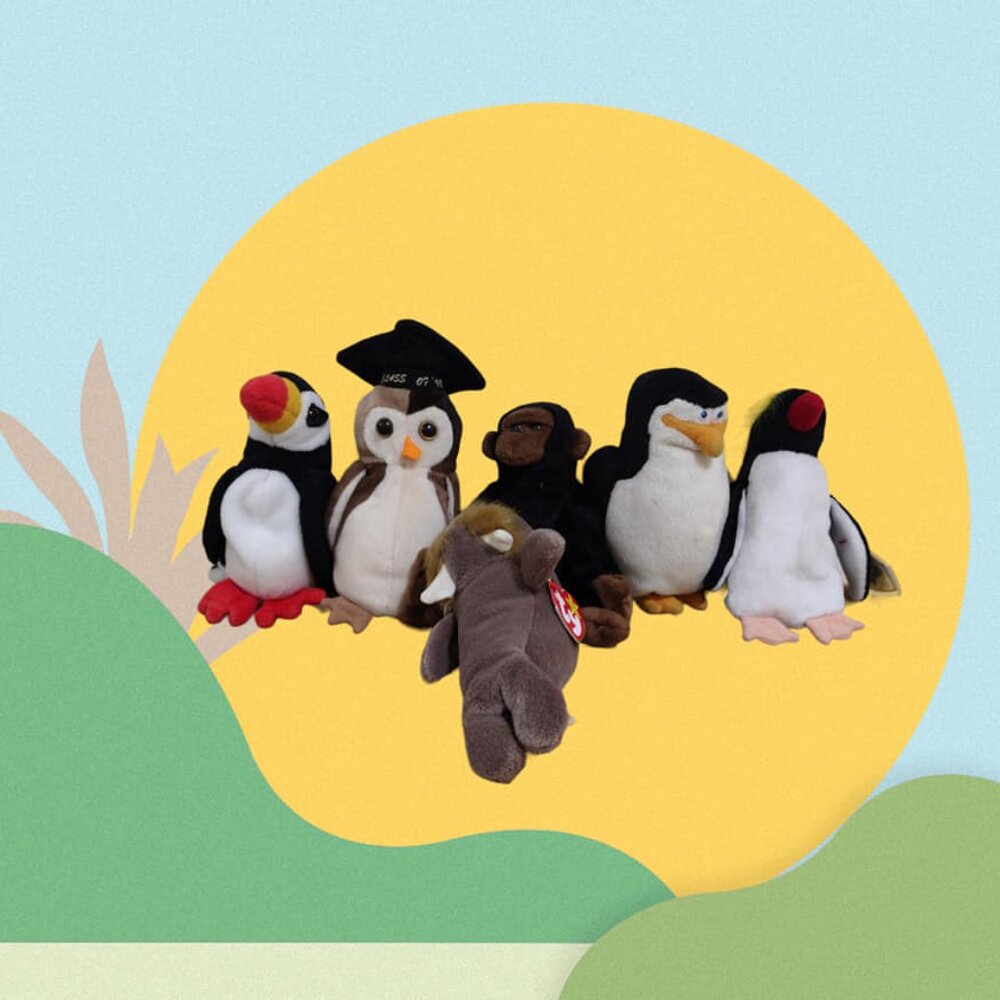 TY Beanies Mixed Lot of 6 Stuffed Toys Animals